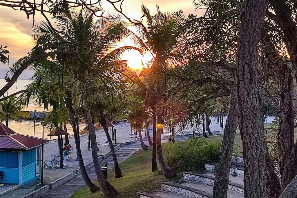 Studio Vue Mer Guadeloupe Сент-Анн Экстерьер фото
