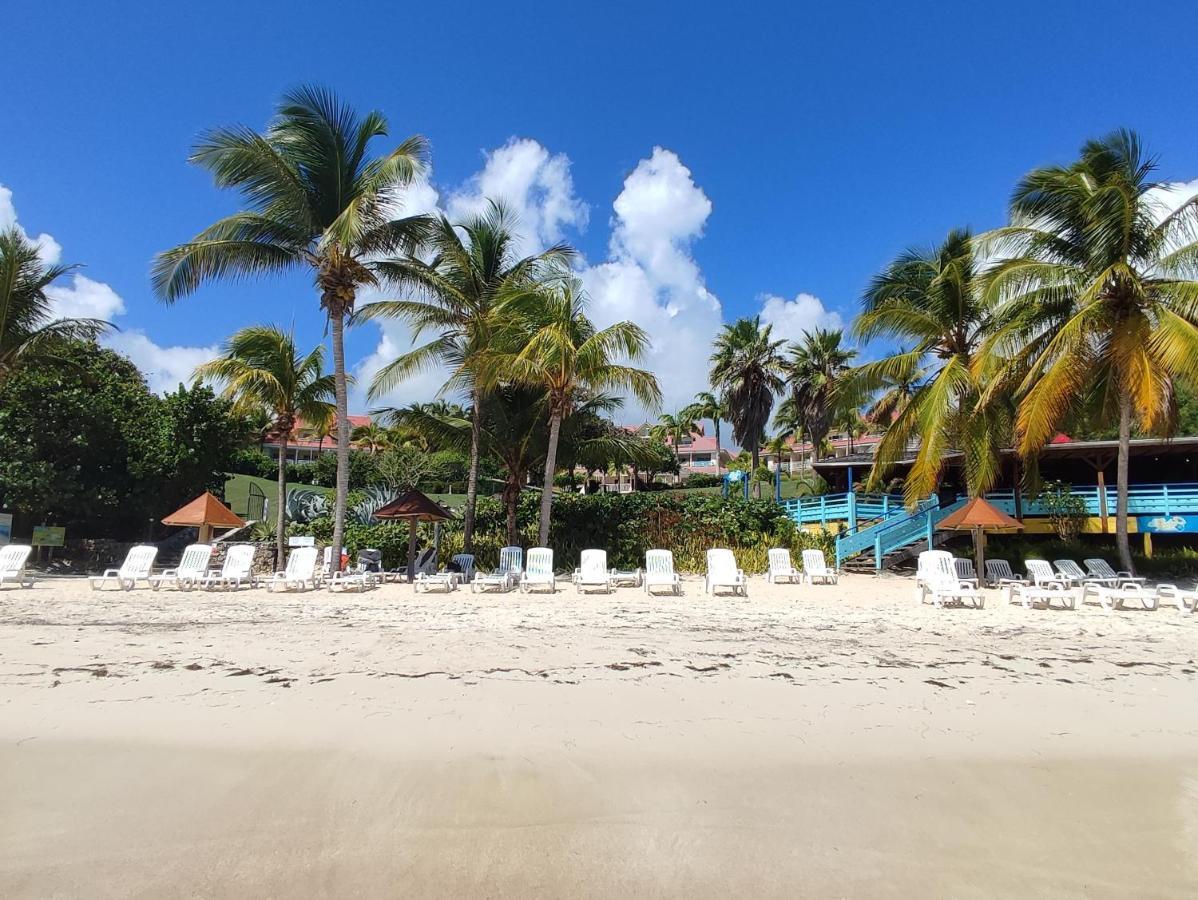 Studio Vue Mer Guadeloupe Сент-Анн Экстерьер фото